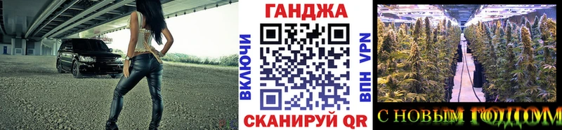 Купить где  Магас  Марихуана OG Kush 
